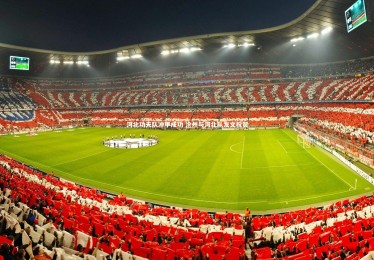 【yabo体育】河北功夫队冲甲成功 沧州与河北队发文祝贺