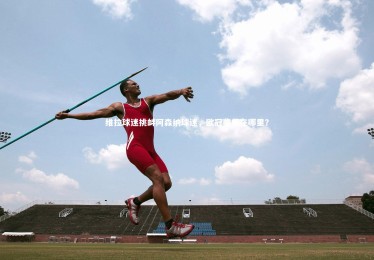 亚博体育app_维拉球迷挑衅阿森纳球迷，欧冠奖杯在哪里？