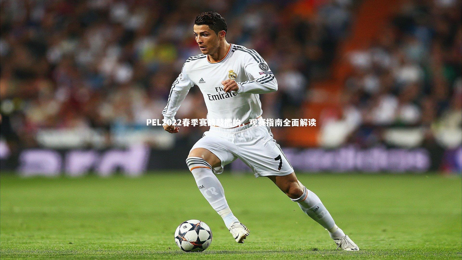 PEL2022春季赛战鼓擂响，观赛指南全面解读